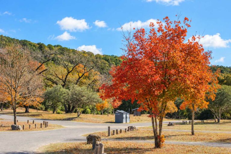 Lost Maples State Natural Area