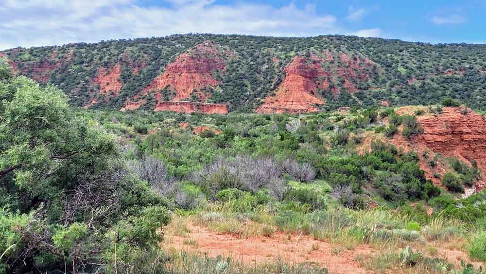 Canyon Scenery At Caprock Canyons State Park In Texas