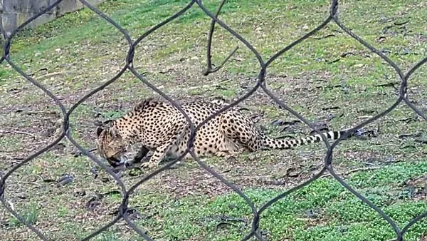 Washington Dc Trip Itinerary | Best 3-5 Days And Tips Smithsonian Zoo