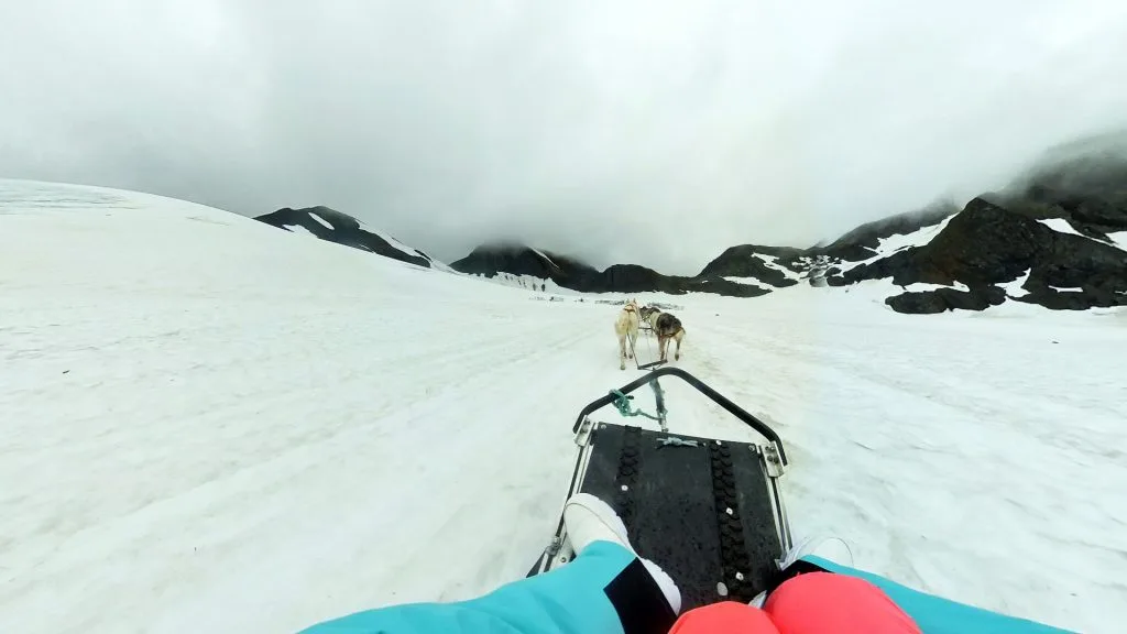 Dog Sledding In Alaska