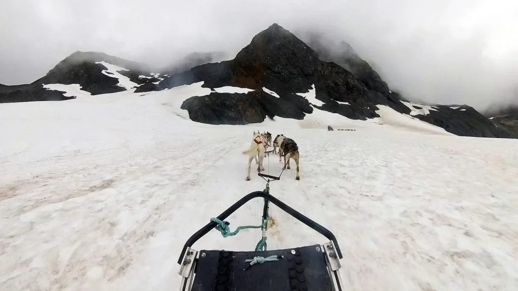 Dog Sledding In Alaska
