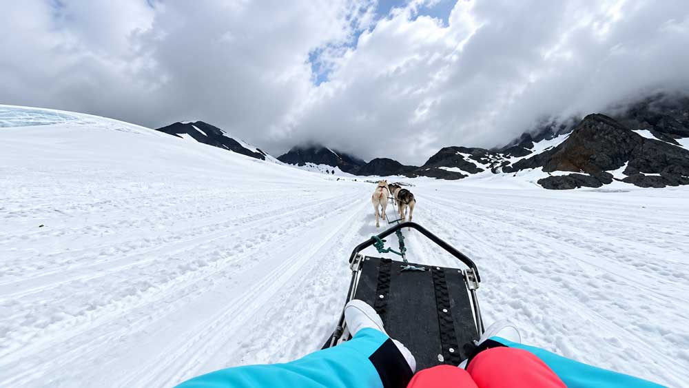 Glacier Dog Sledding In Alaska