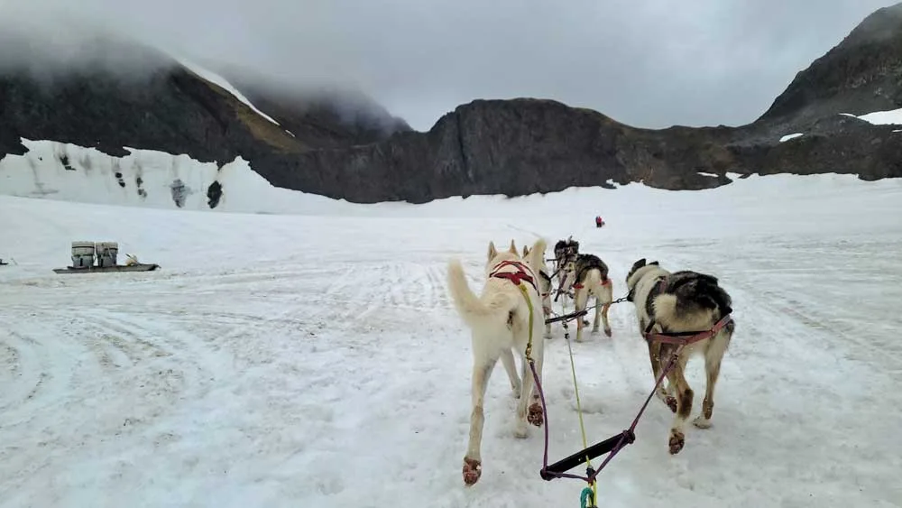 Punchbowl Glacier Sheroamsm