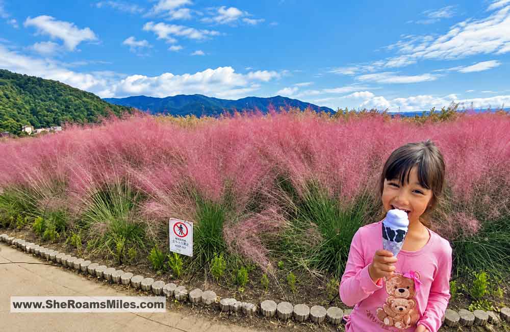 Oishi Park Ice Cream