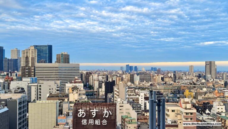 Tokyo Skyline During Our Family Trip To Japan