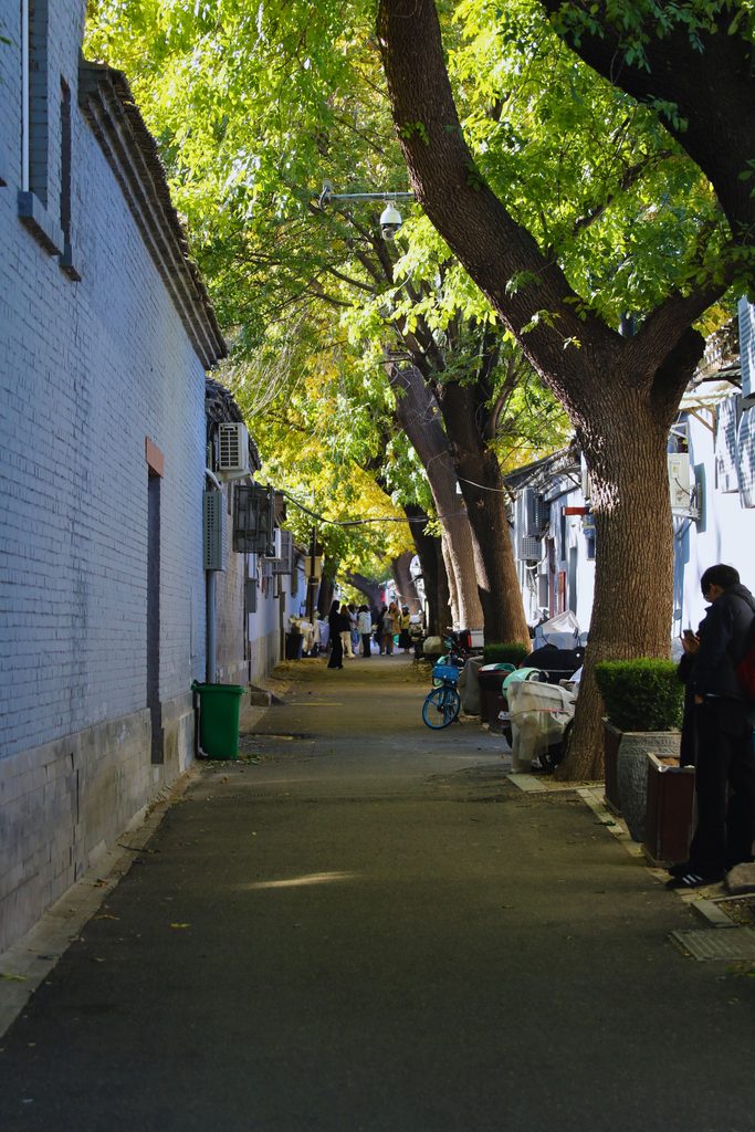 25 Essential Beijing Travel Tips For First-Time Visitors (2026) Hutong Alley Street Scene In Beijing