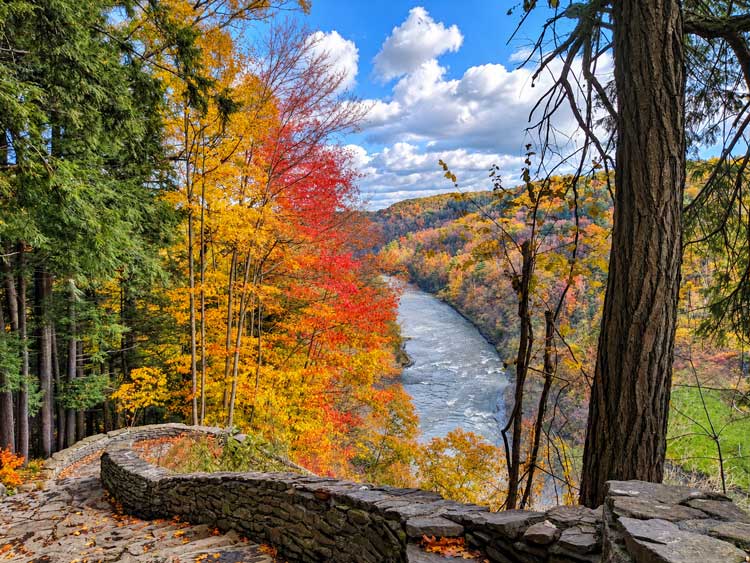 Letchworth State Park, New York: Waterfalls, Fall Colors &Amp; What To See Fall Foliage Above A Bend In The Genesee River Gorge From A Stone Overlook At Letchworth State Park