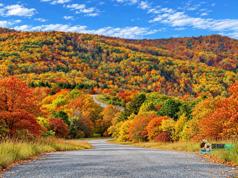 Colorful Orange, Yellow, And Green Hillsides Along The Cavanal Hill Scenic Road In Oklahoma