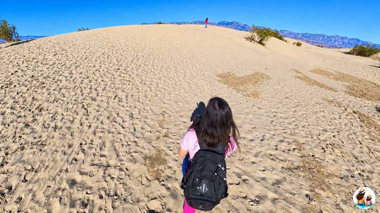 Death Valley National Park Itinerary: How To Spend 3 Days Tall Sand Dunes And Footprints At Mesquite Flat Sand Dunes Part Of Our Death Valley National Park Itinerary.