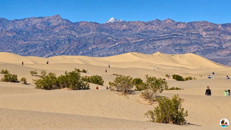 Rolling Sand Dunes And Desert Mountains At Mesquite Flat Sand Dunes In Death Valley National Park.